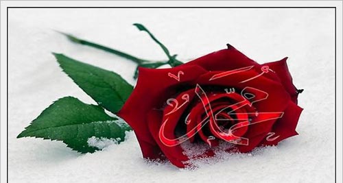 20 İL QURAN AYƏLƏRİ İLƏ DANIŞMIŞ QADIN