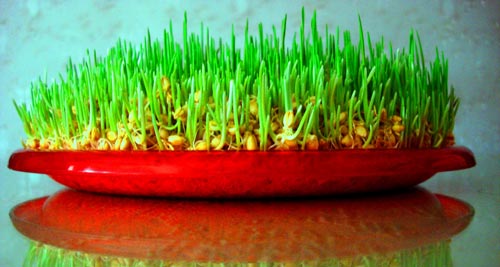 NOVRUZ  bayramının tarixçəsi haqda