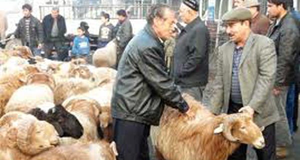ƏRƏFƏ VƏ QURBAN GÜNLƏRİNİN ƏMƏLLƏRİ ƏRƏFƏ VƏ QURBAN GÜNLƏRİNİN ƏMƏLLƏRİ